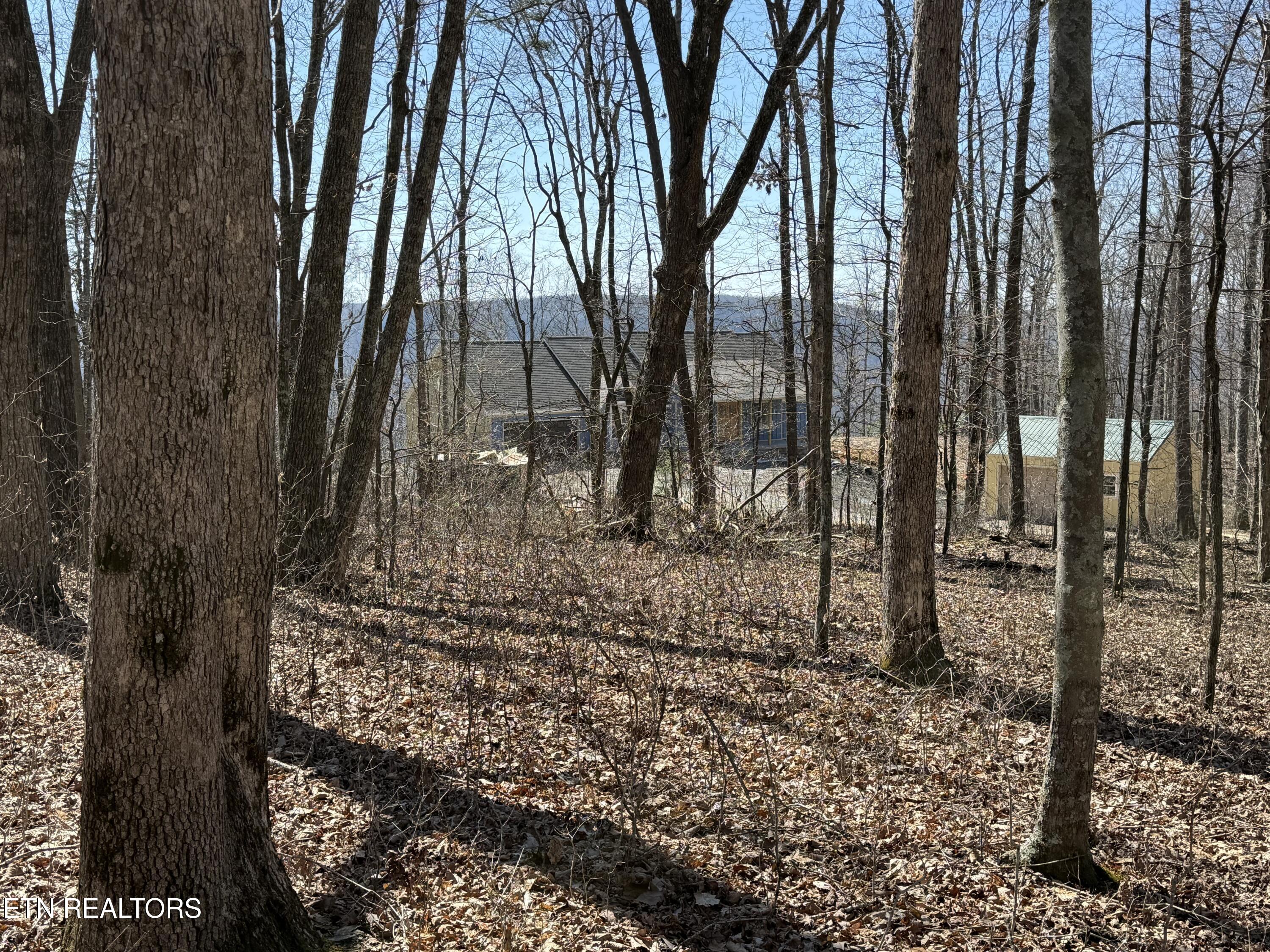 Cumberland Cove Road Monterey TN 38574