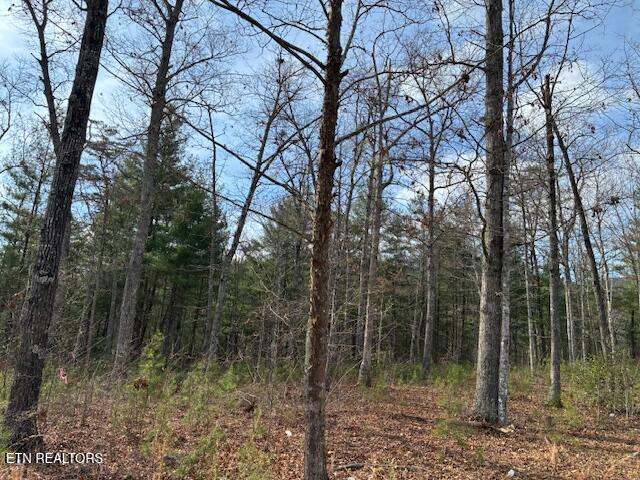 Mountain Ash Way Sevierville TN 37876