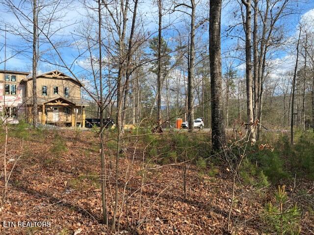 Mountain Ash Way Sevierville TN 37876
