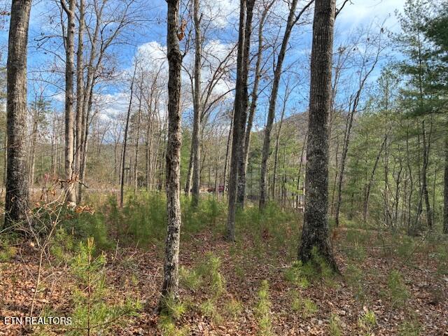 Mountain Ash Way Sevierville TN 37876
