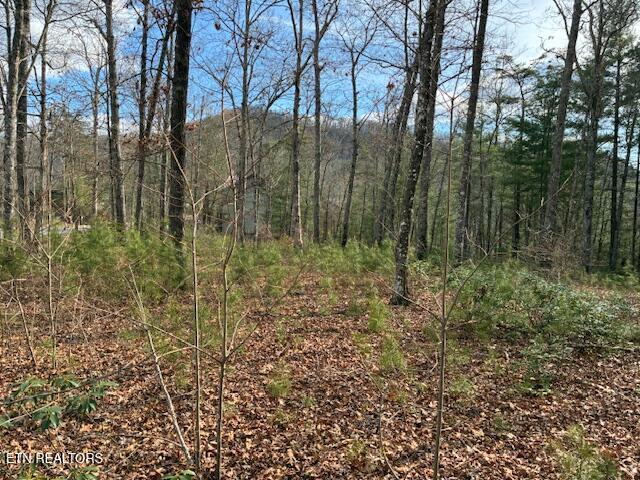Mountain Ash Way Sevierville TN 37876
