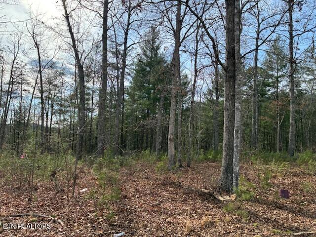Mountain Ash Way Sevierville TN 37876