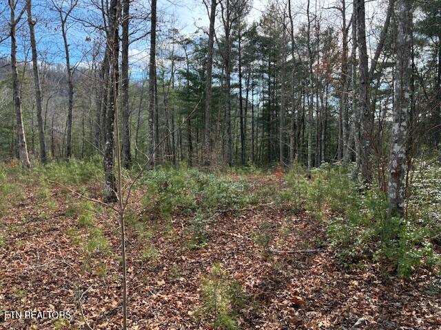 Mountain Ash Way Sevierville TN 37876
