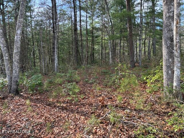 Mountain Ash Way Sevierville TN 37876