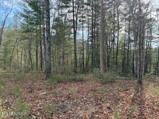 Mountain Ash Way Sevierville TN 37876