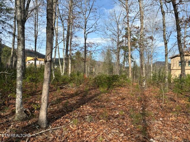 Mountain Ash Way Sevierville TN 37876