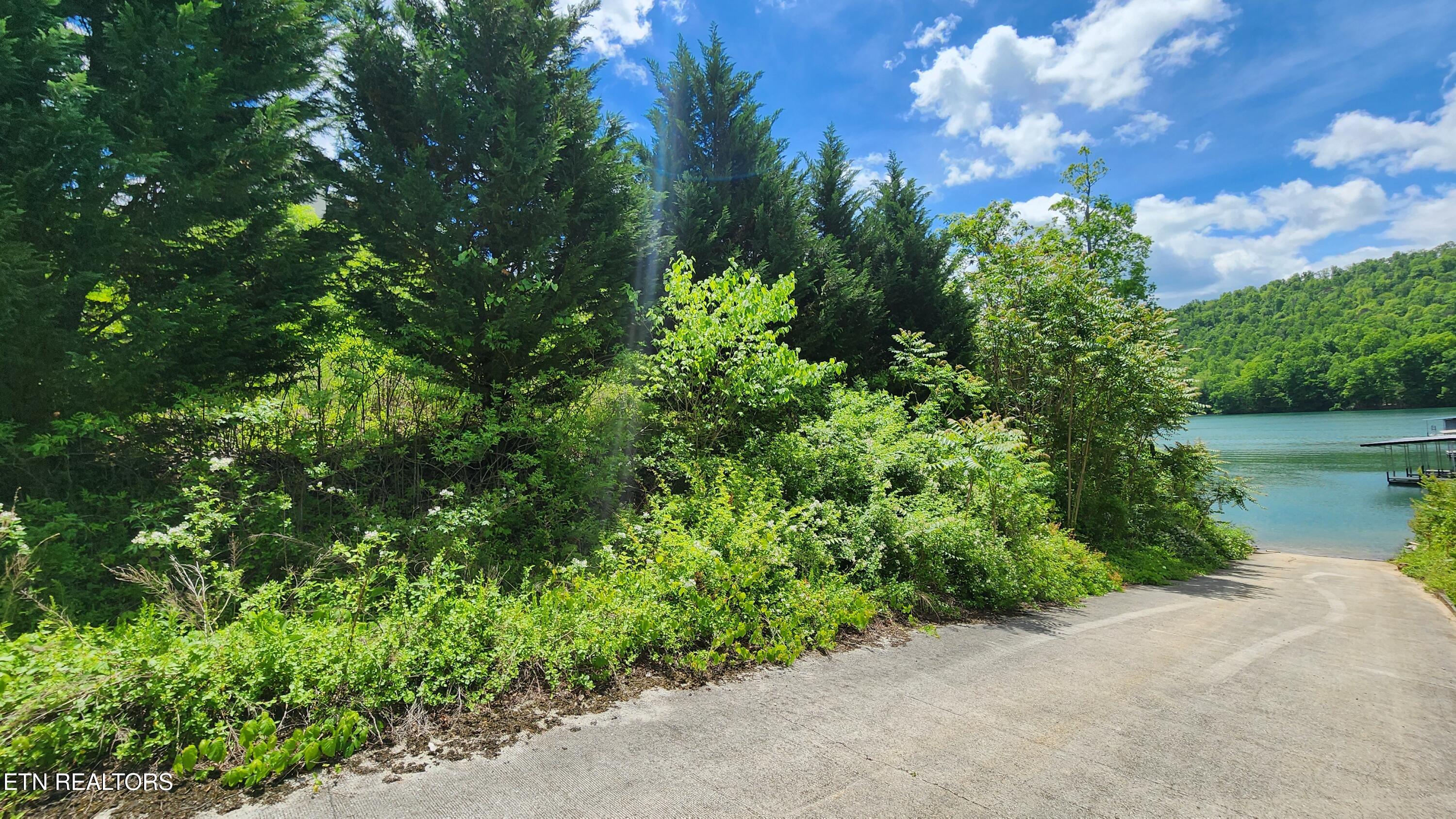 Lot 19 Cameron Loop Lafollette TN 37766