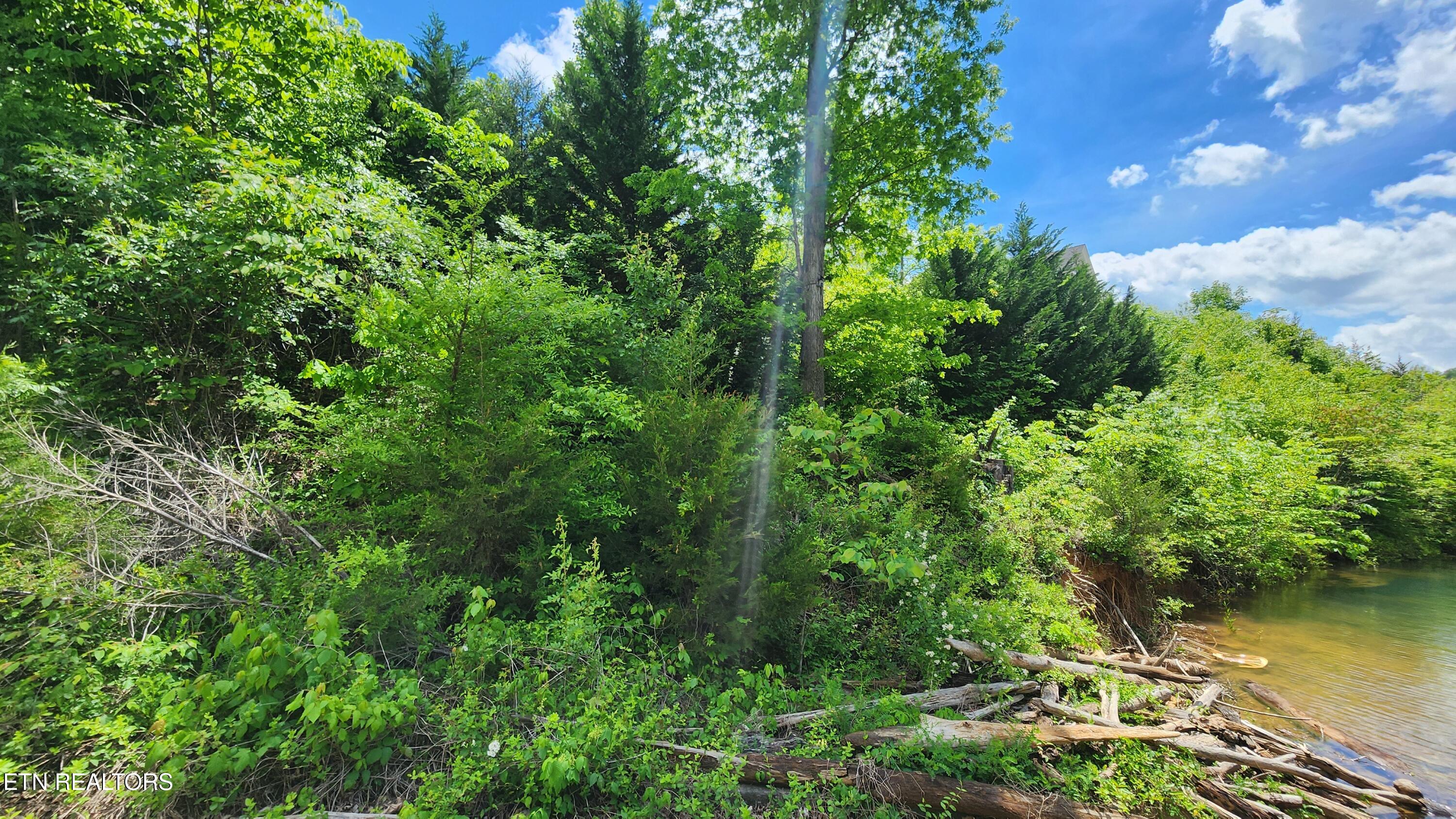 Lot 19 Cameron Loop Lafollette TN 37766