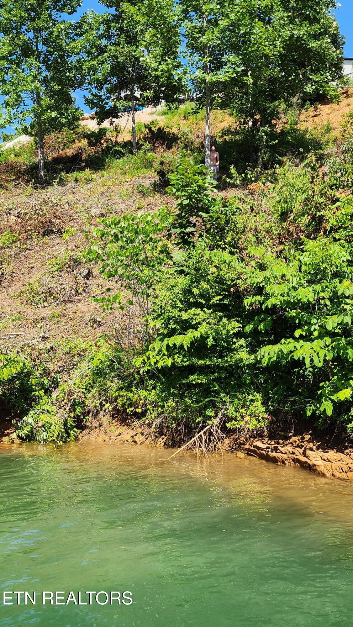 Lot 19 Cameron Loop Lafollette TN 37766