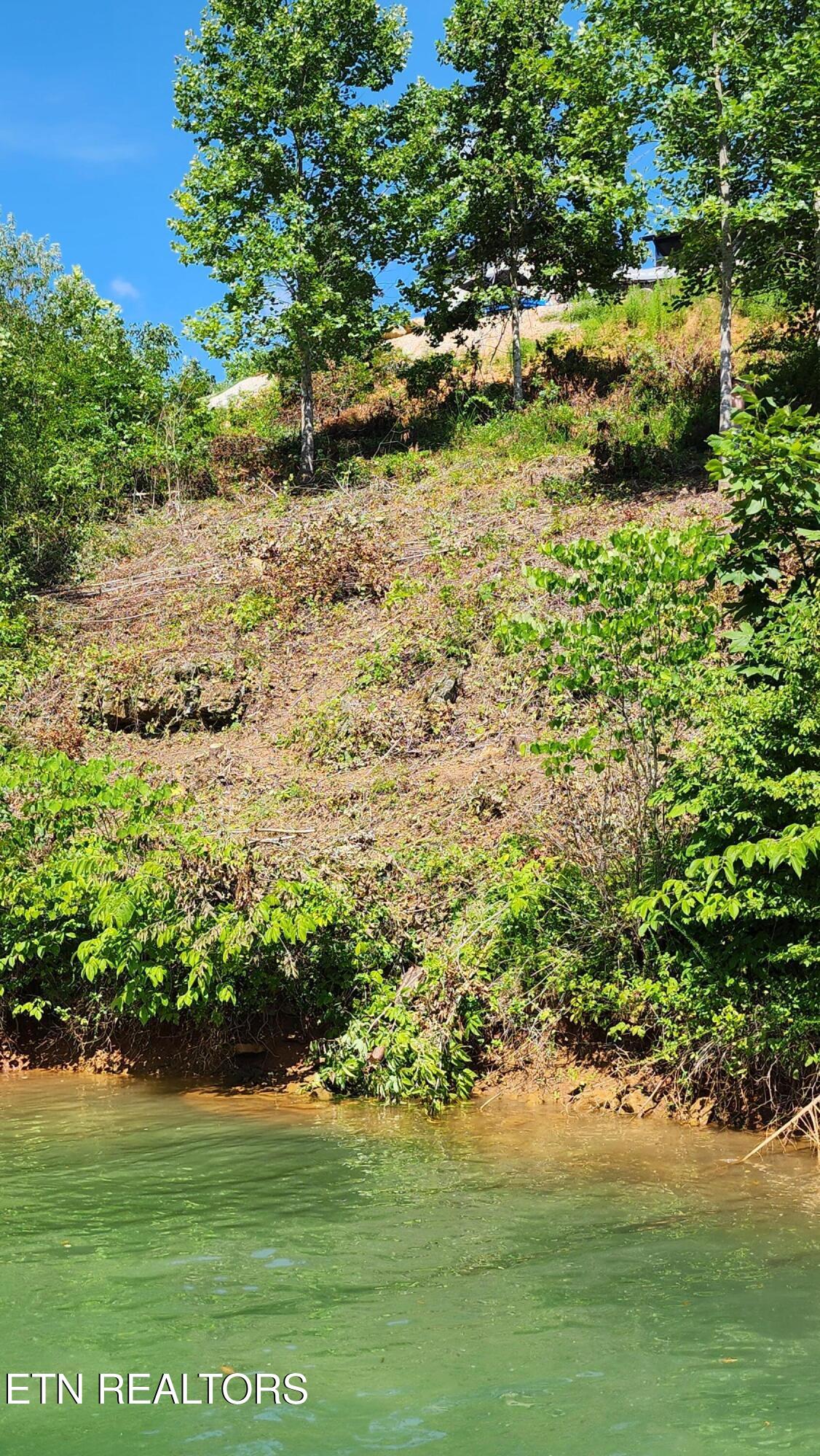 Lot 19 Cameron Loop Lafollette TN 37766