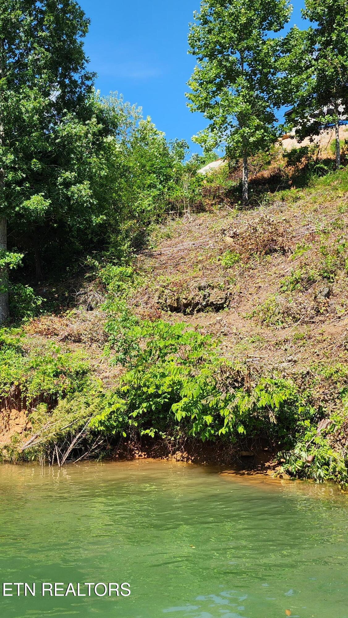 Lot 19 Cameron Loop Lafollette TN 37766