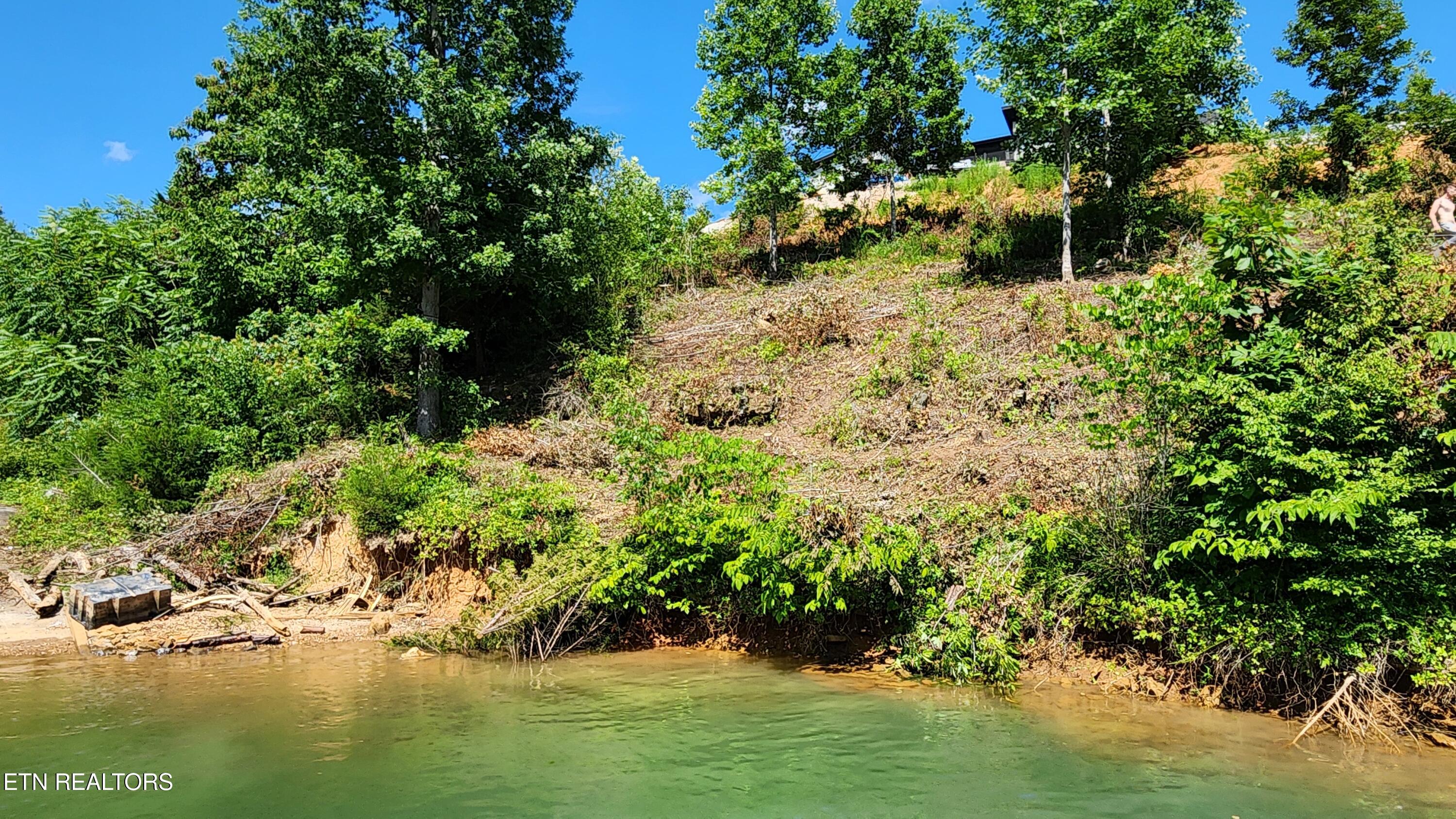 Lot 19 Cameron Loop Lafollette TN 37766