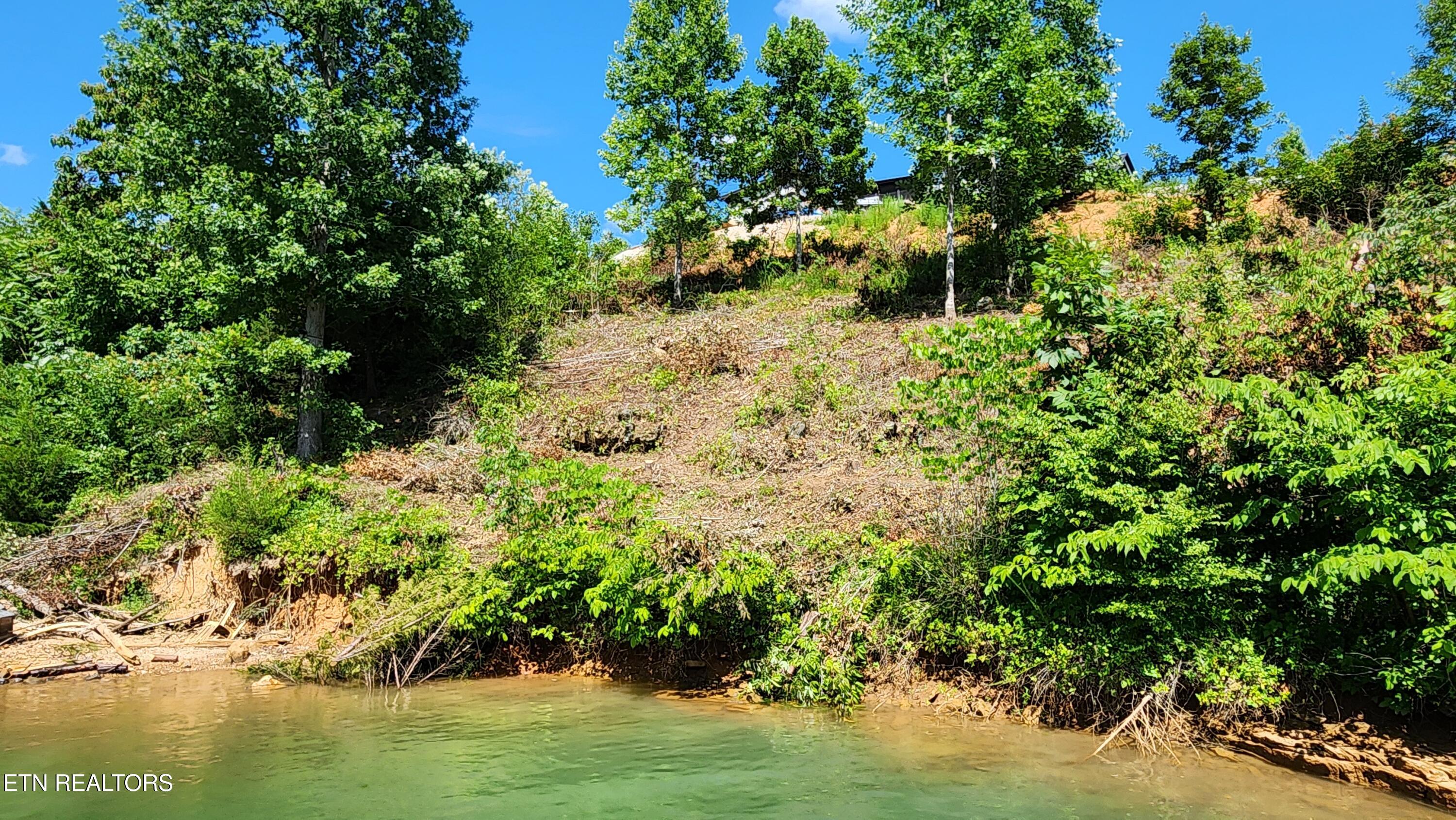 Lot 19 Cameron Loop Lafollette TN 37766