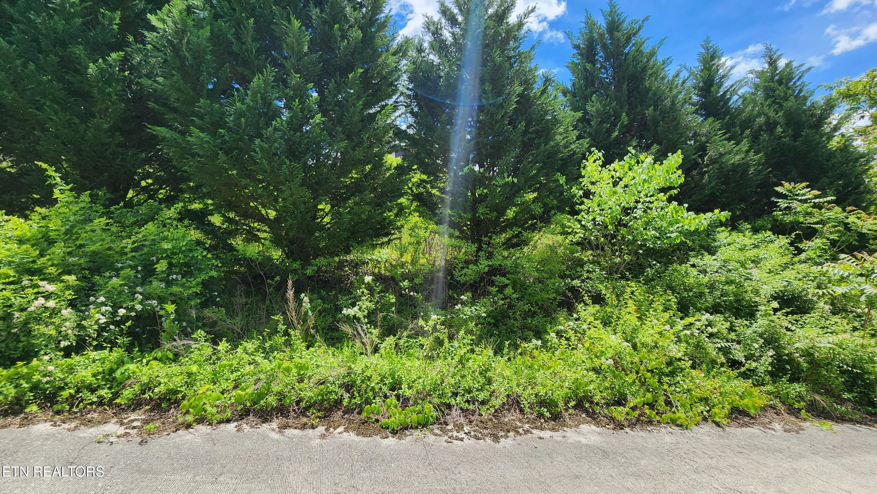 Lot 19 Cameron Loop Lafollette TN 37766