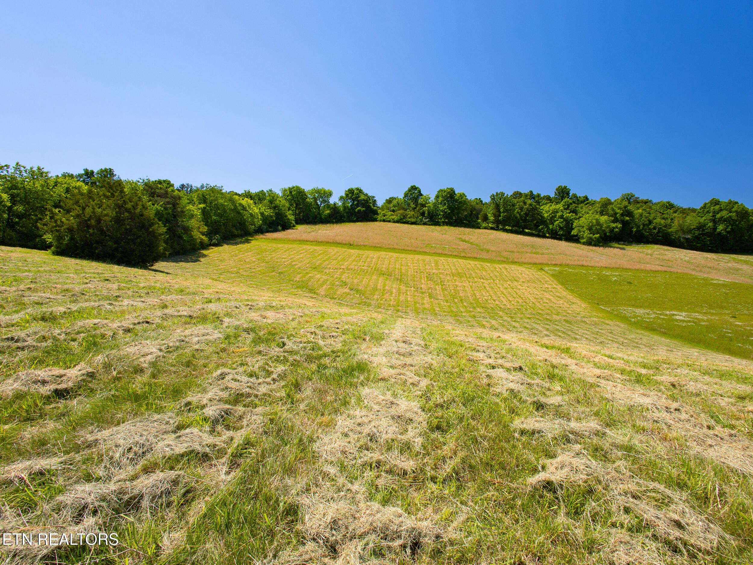 4600 Vonore Road Loudon TN 37774