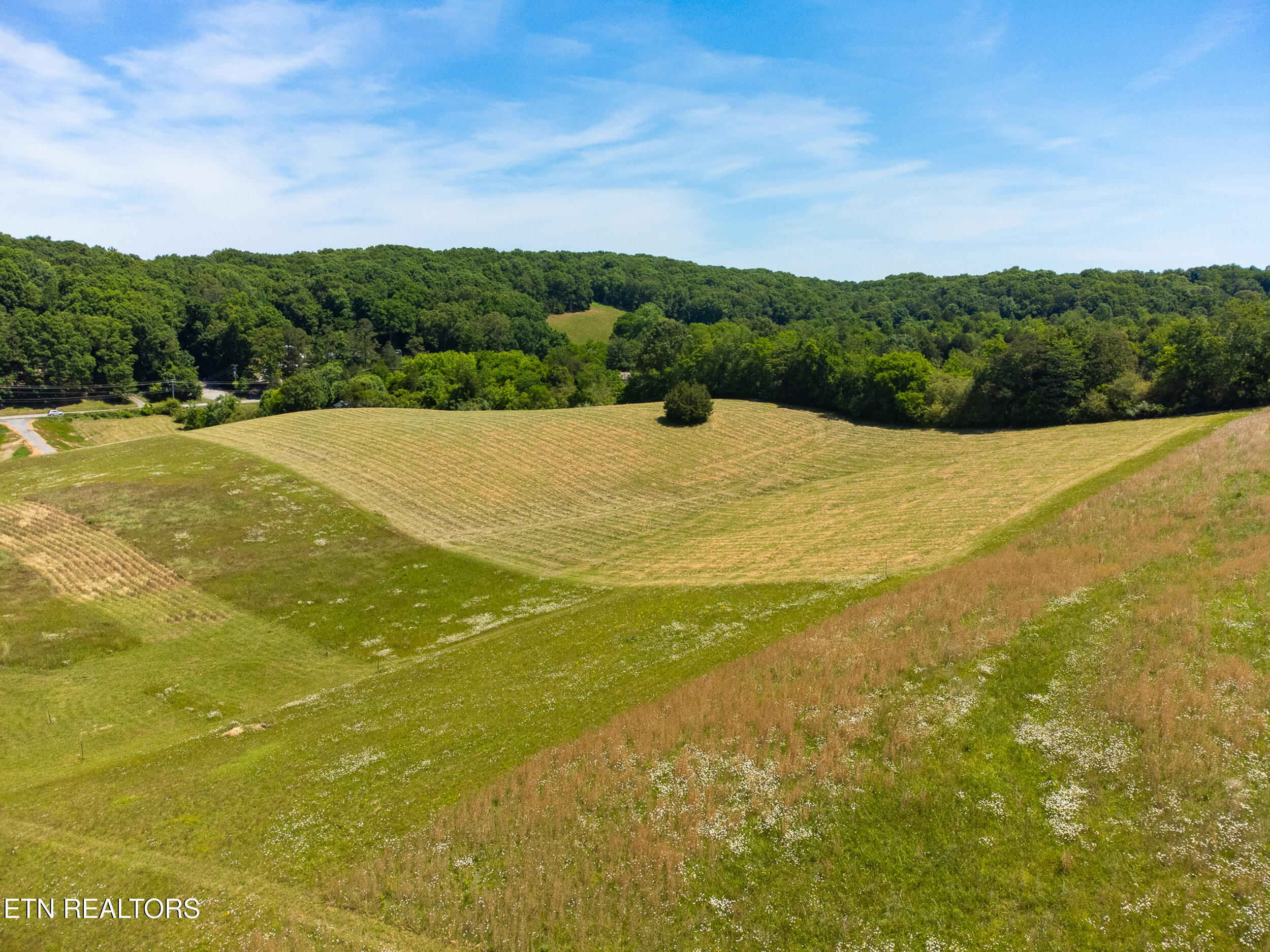4600 Vonore Road Loudon TN 37774