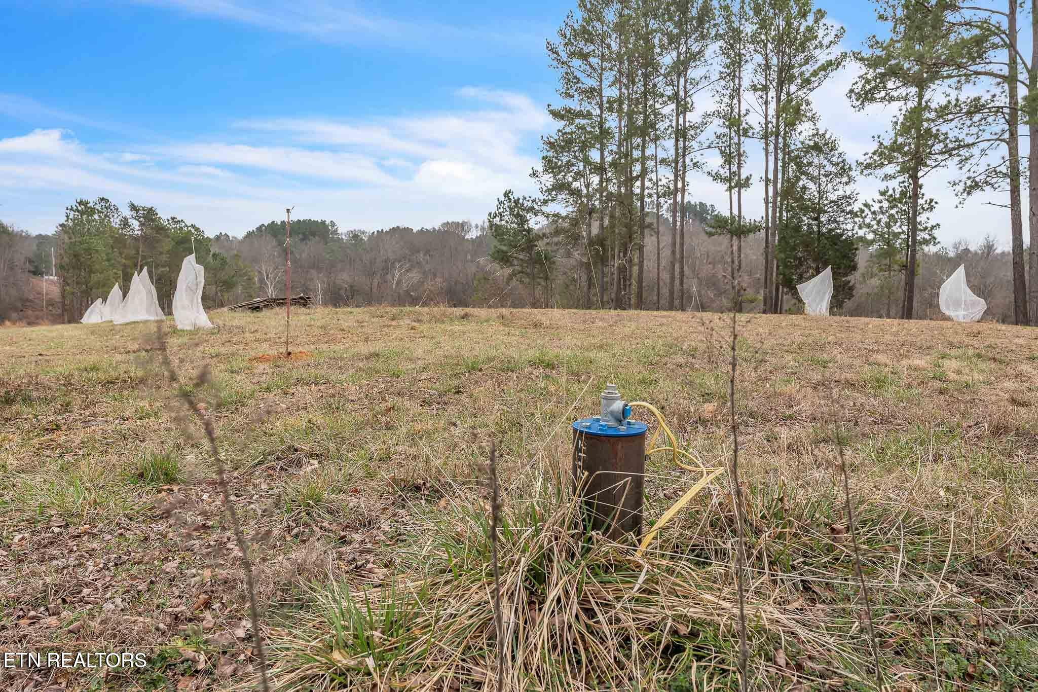 7.3 Acres Athens Road Calhoun TN 37309