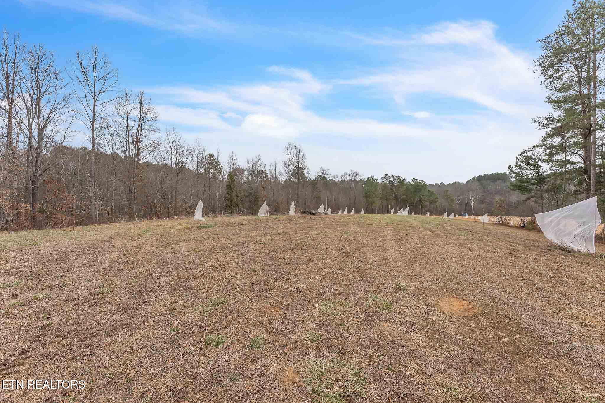 7.3 Acres Athens Road Calhoun TN 37309