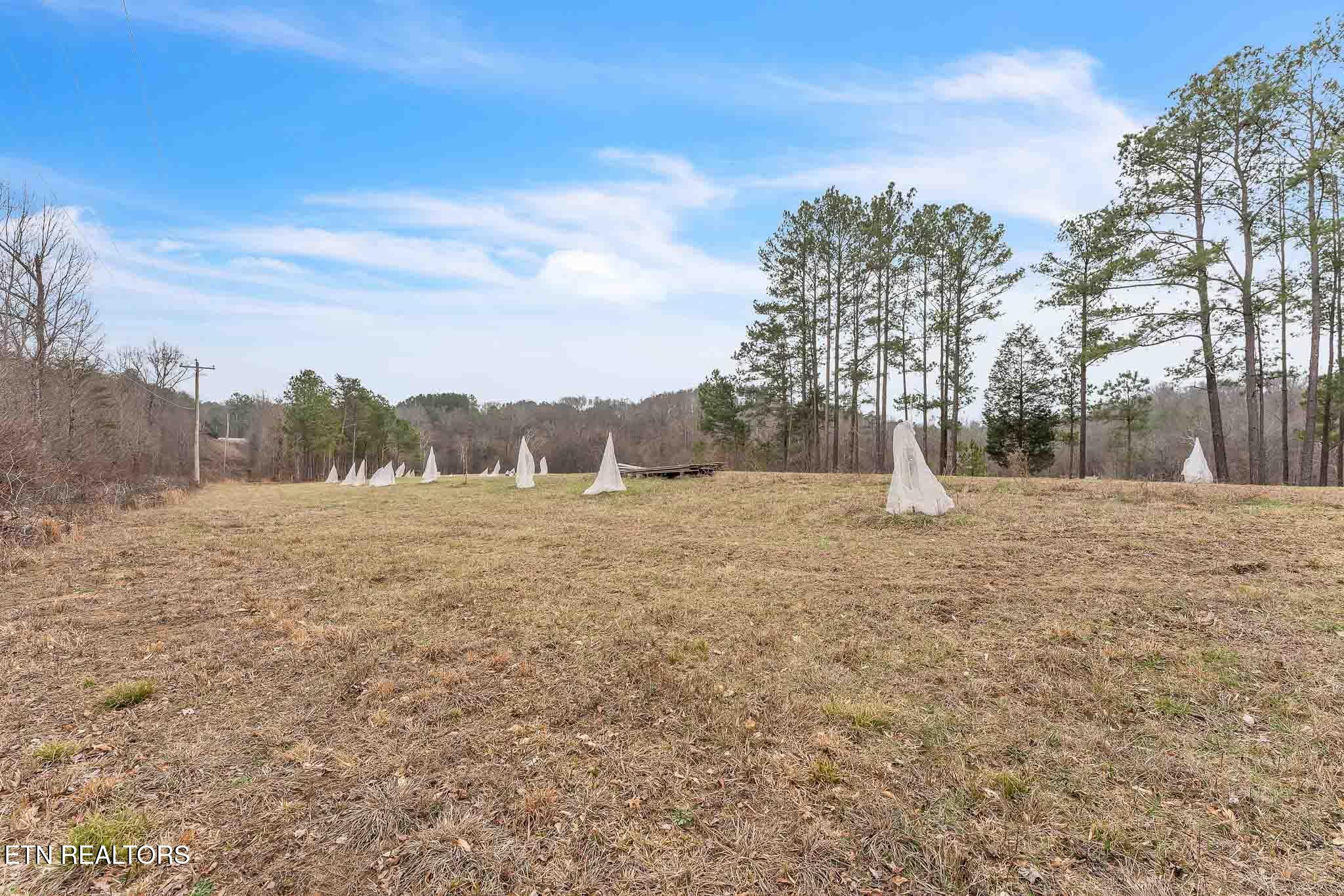 7.3 Acres Athens Road Calhoun TN 37309