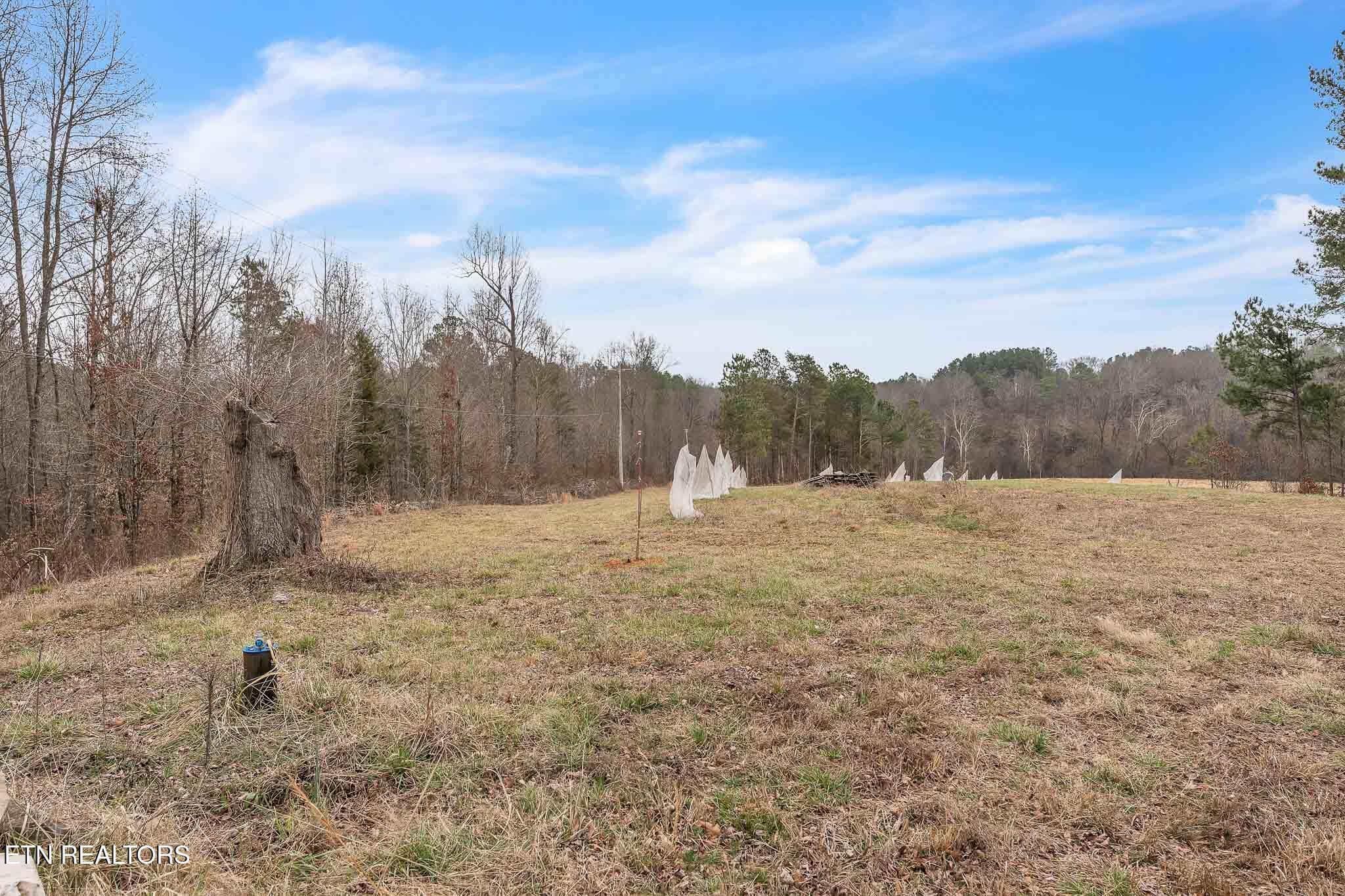 7.3 Acres Athens Road Calhoun TN 37309