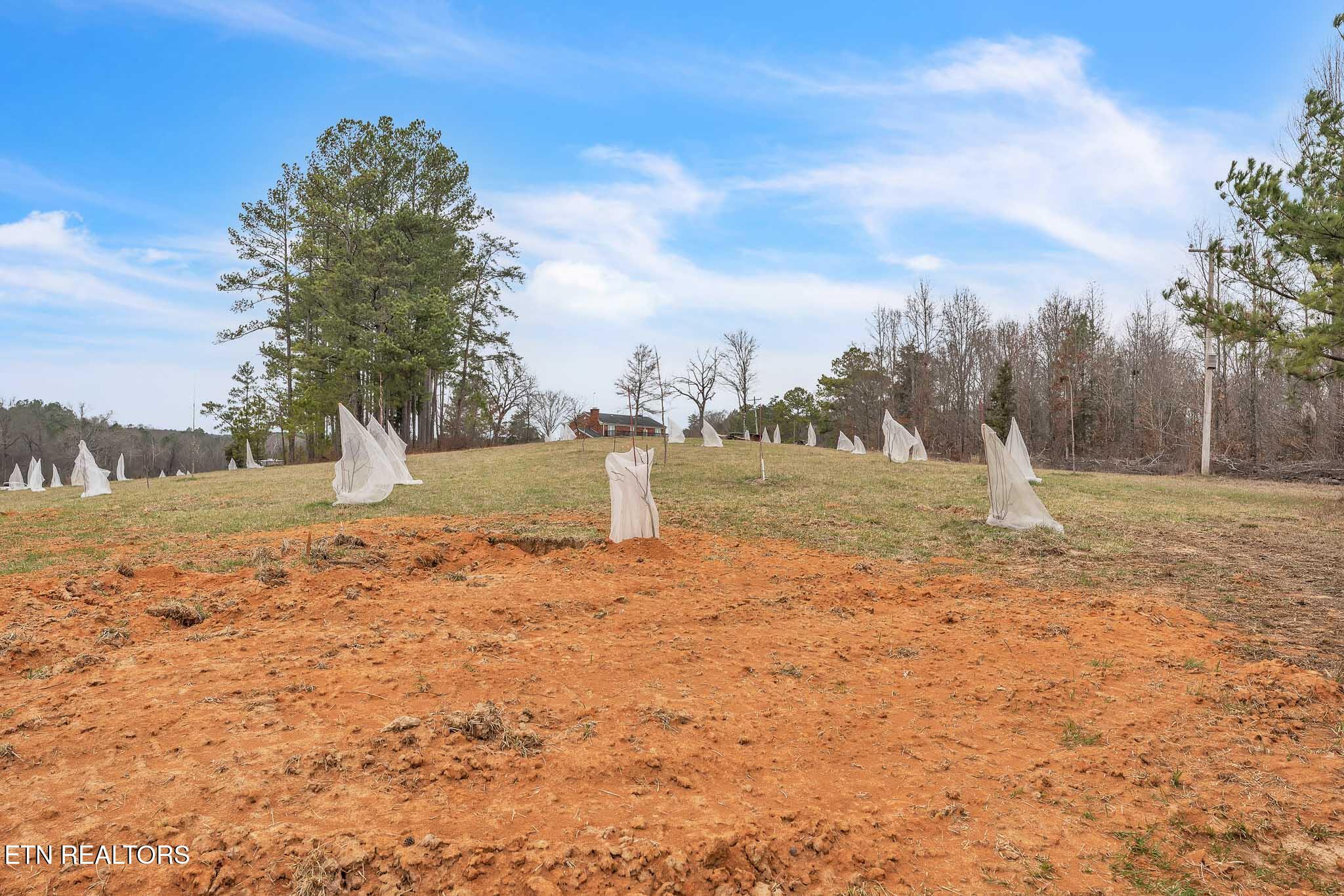7.3 Acres Athens Road Calhoun TN 37309