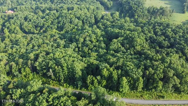 Lot 4 Woodland Creek Drive Dandridge TN 37725
