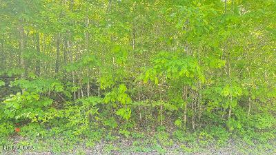 Crestwood Drive Speedwell TN 37870