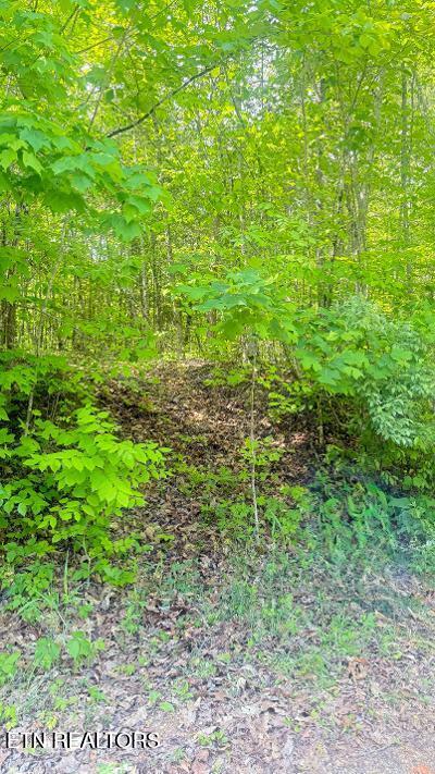 Crestwood Drive Speedwell TN 37870