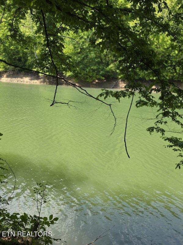 Crestwood Drive Speedwell TN 37870