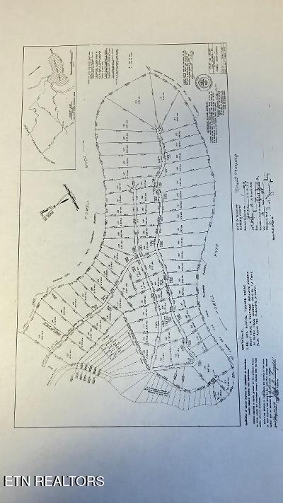 Crestwood Drive Speedwell TN 37870