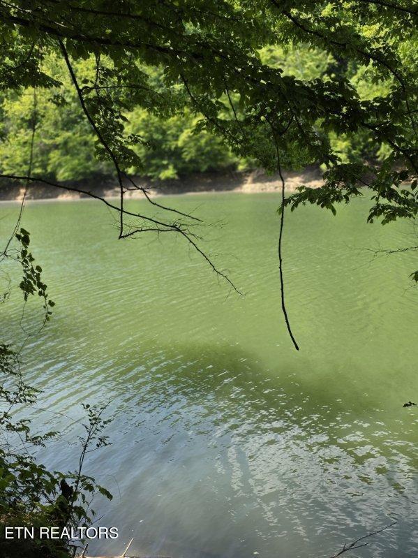 Crestwood Drive Speedwell TN 37870