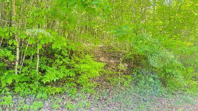 Crestwood Drive Speedwell TN 37870
