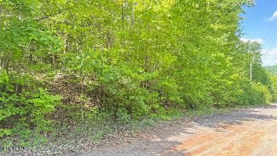 Crestwood Drive Speedwell TN 37870