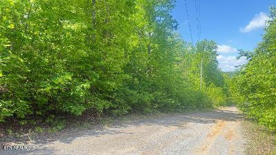 Crestwood Drive Speedwell TN 37870