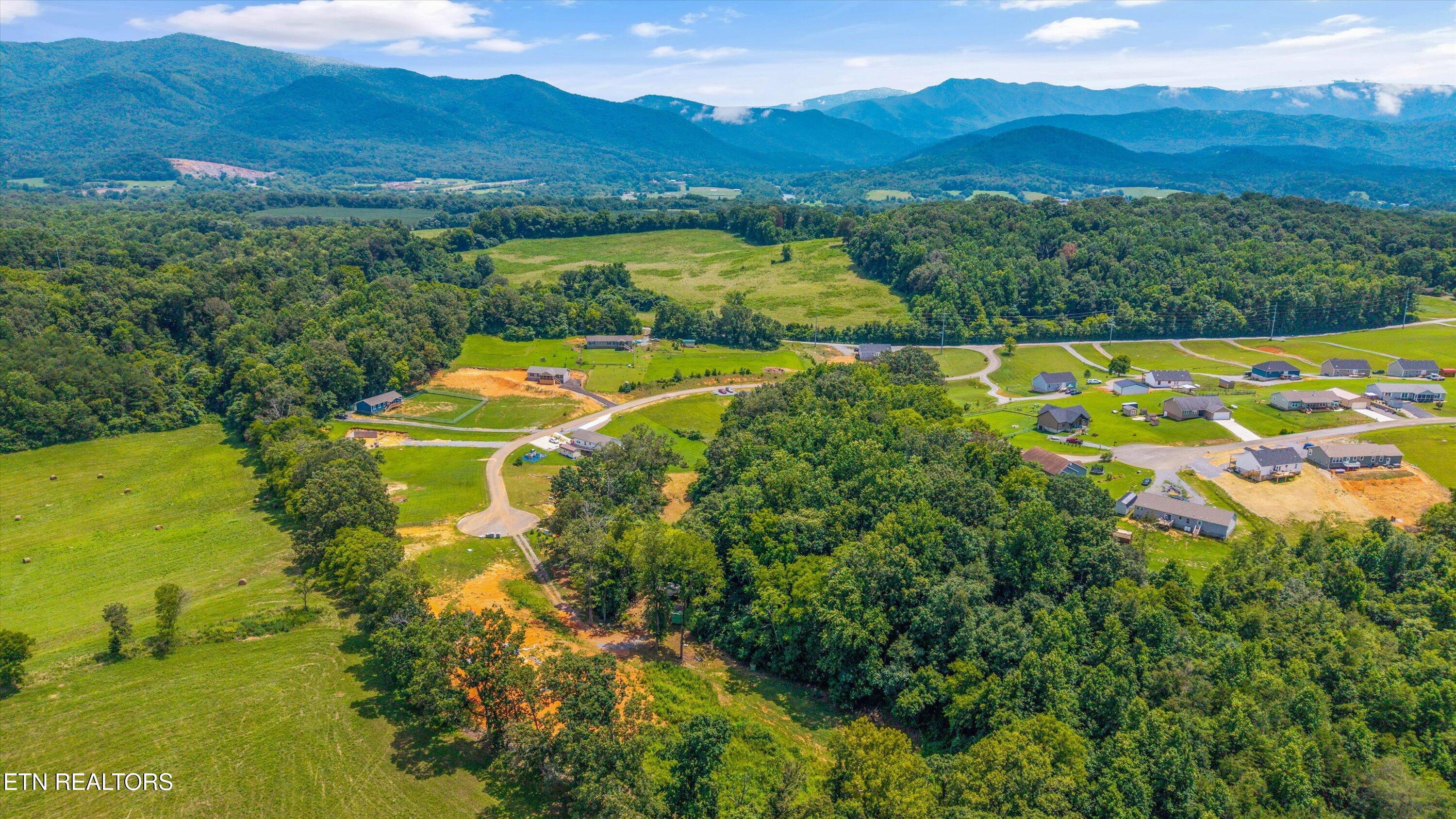 Siesta Drive Newport TN 37821