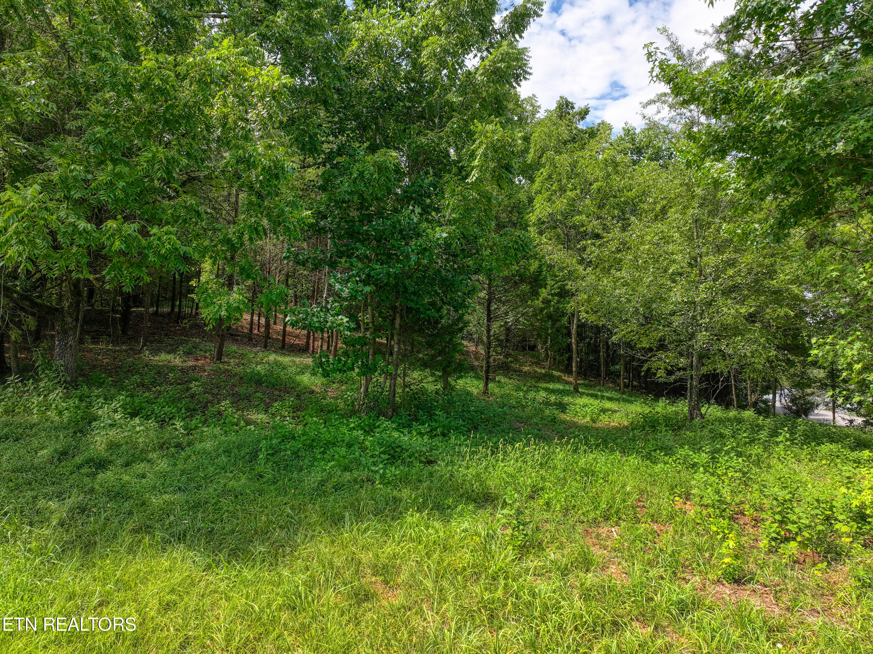 5980 Lakeside Drive Lenoir City TN 37772