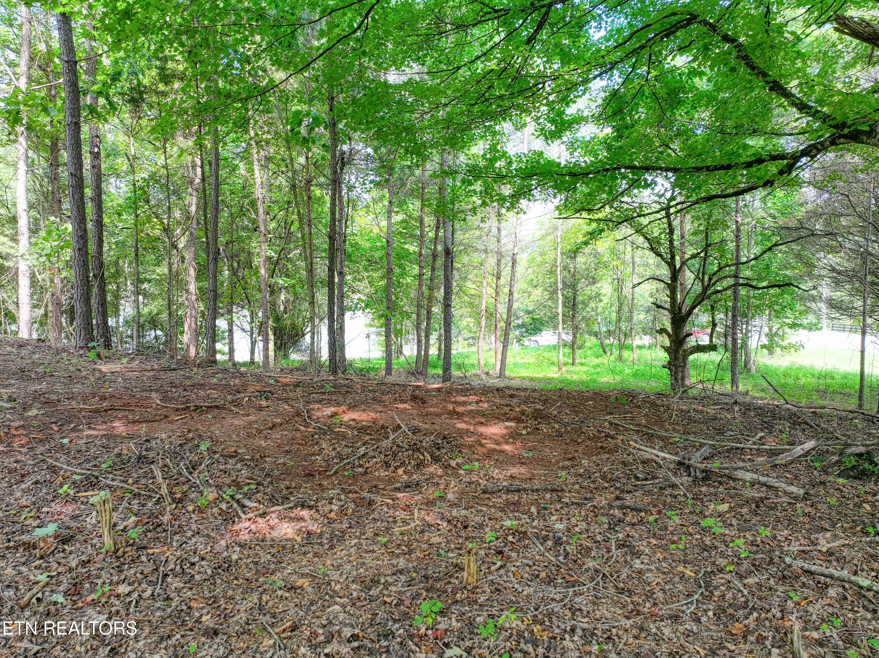 5980 Lakeside Drive Lenoir City TN 37772