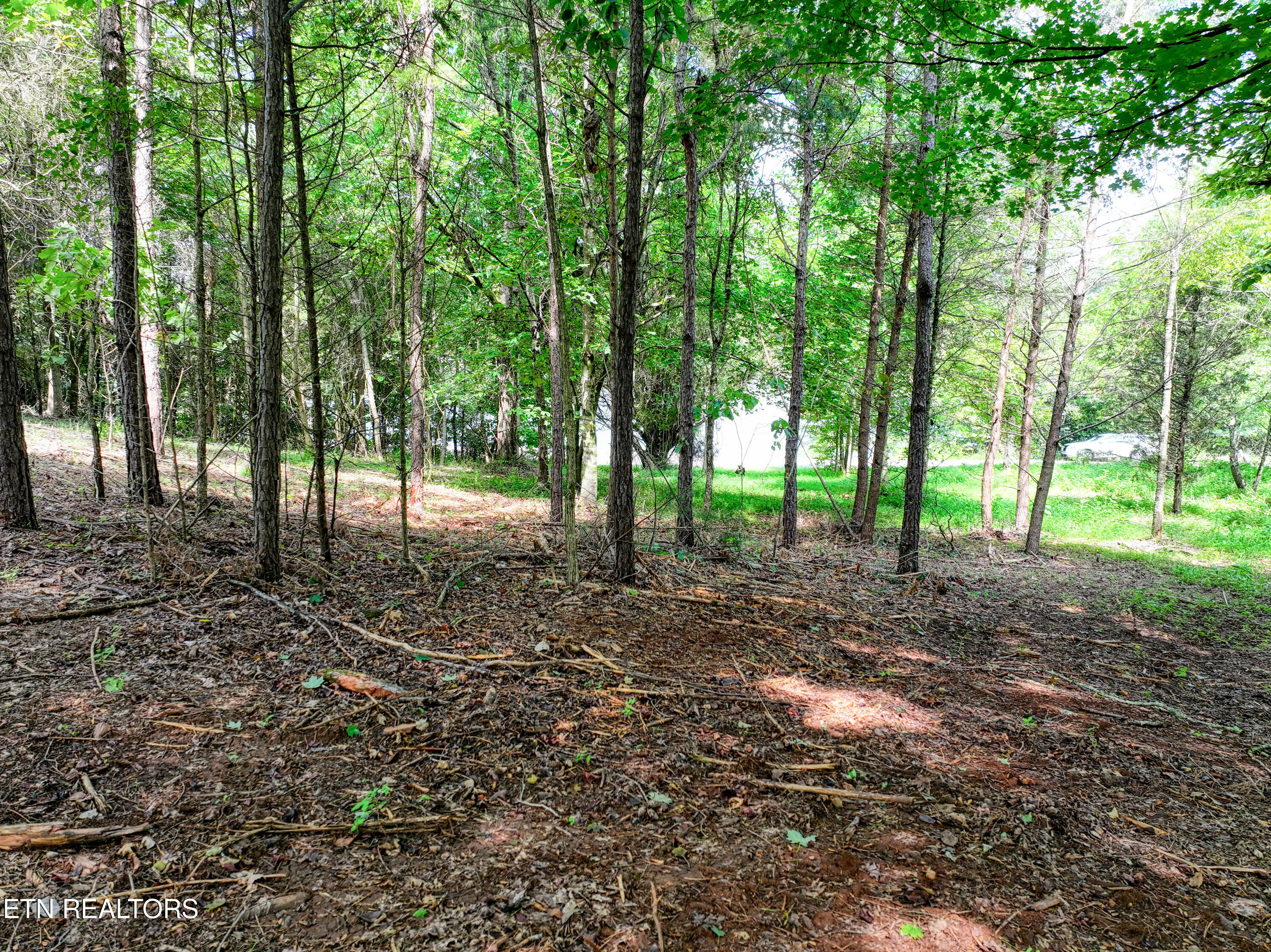 5980 Lakeside Drive Lenoir City TN 37772