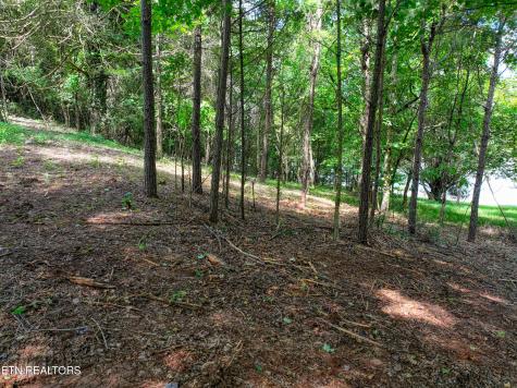 5980 Lakeside Drive Lenoir City TN 37772