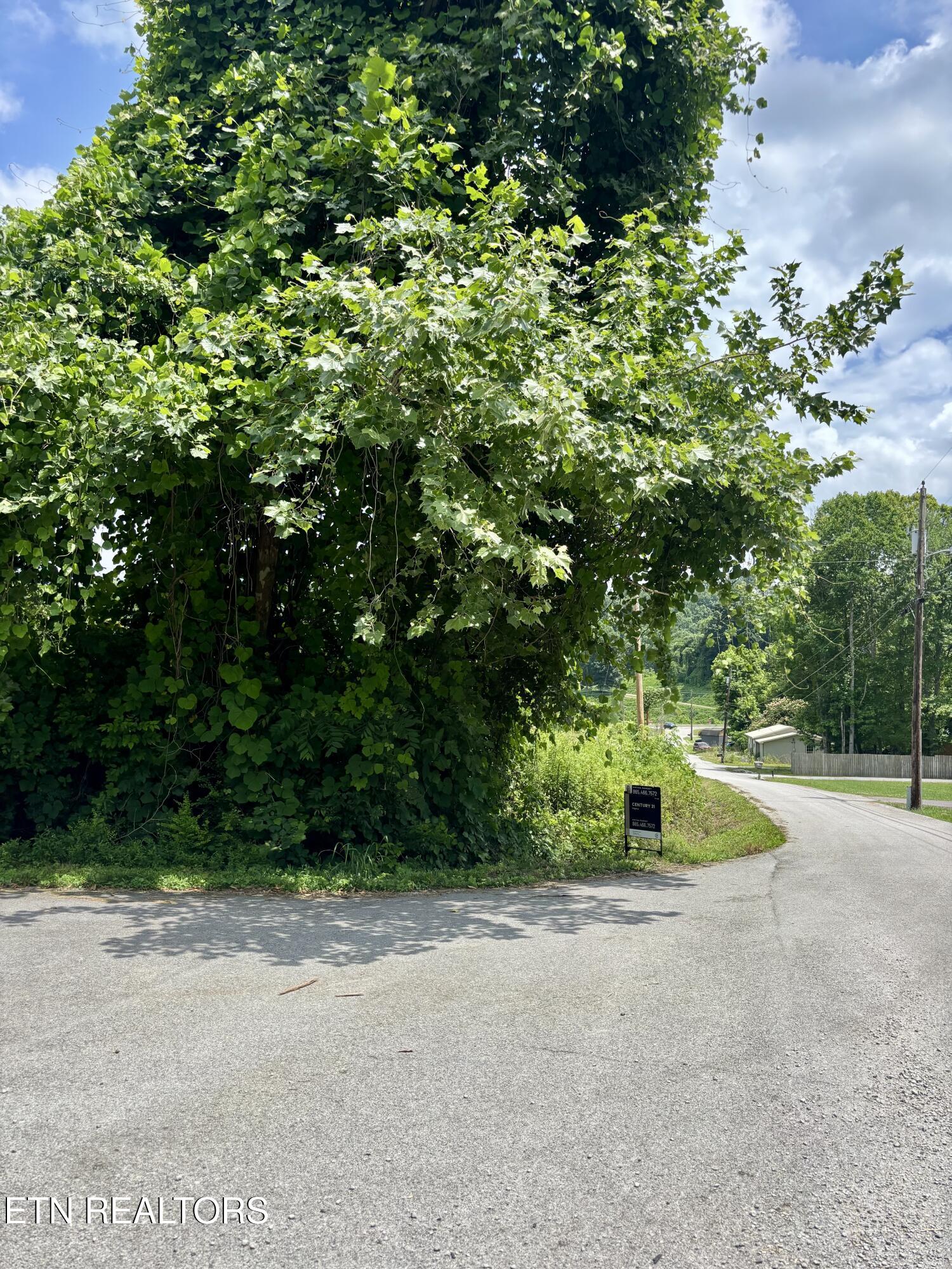 0 Davis Hollow Road Harriman TN 37748