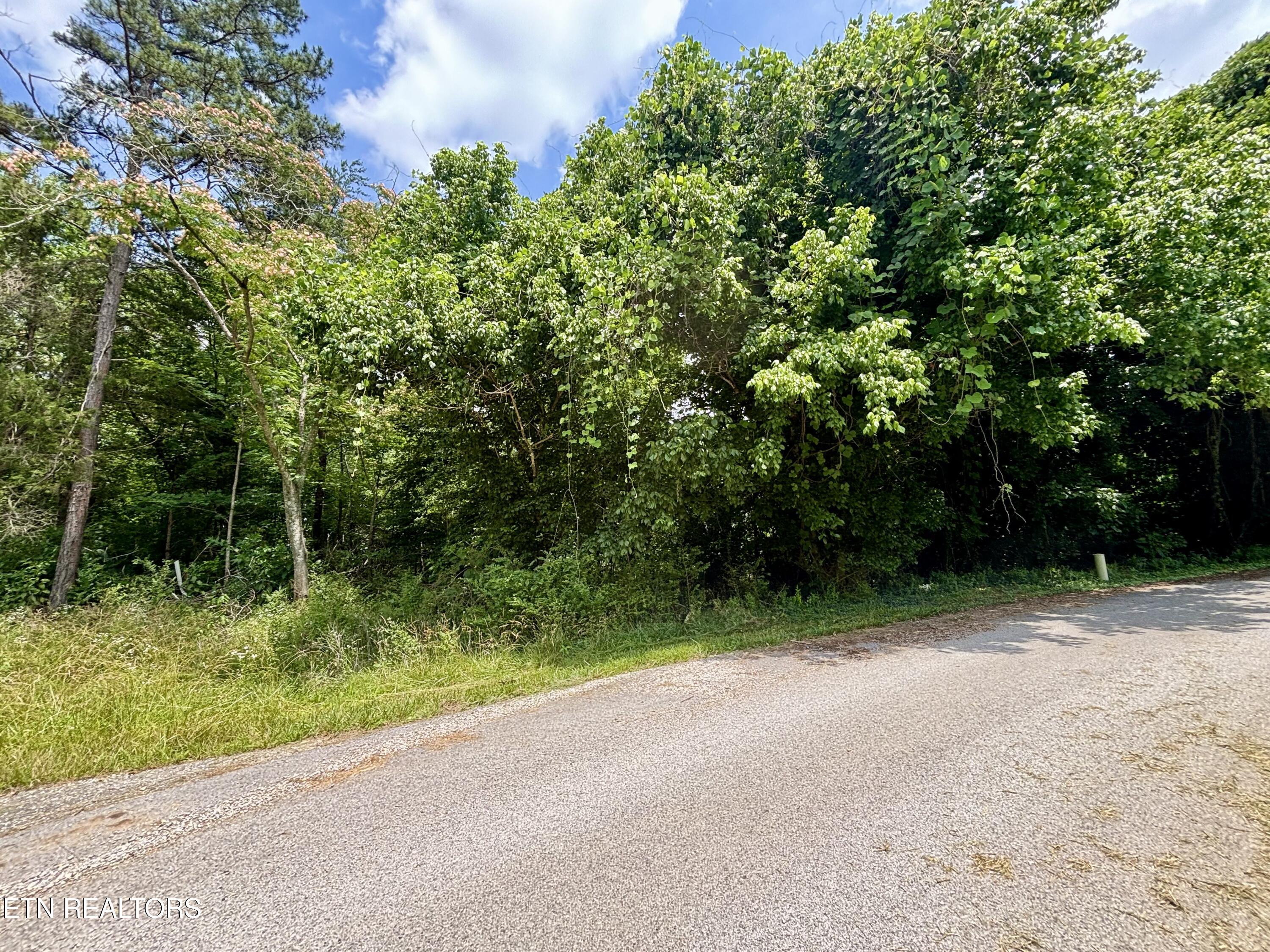 0 Davis Hollow Road Harriman TN 37748