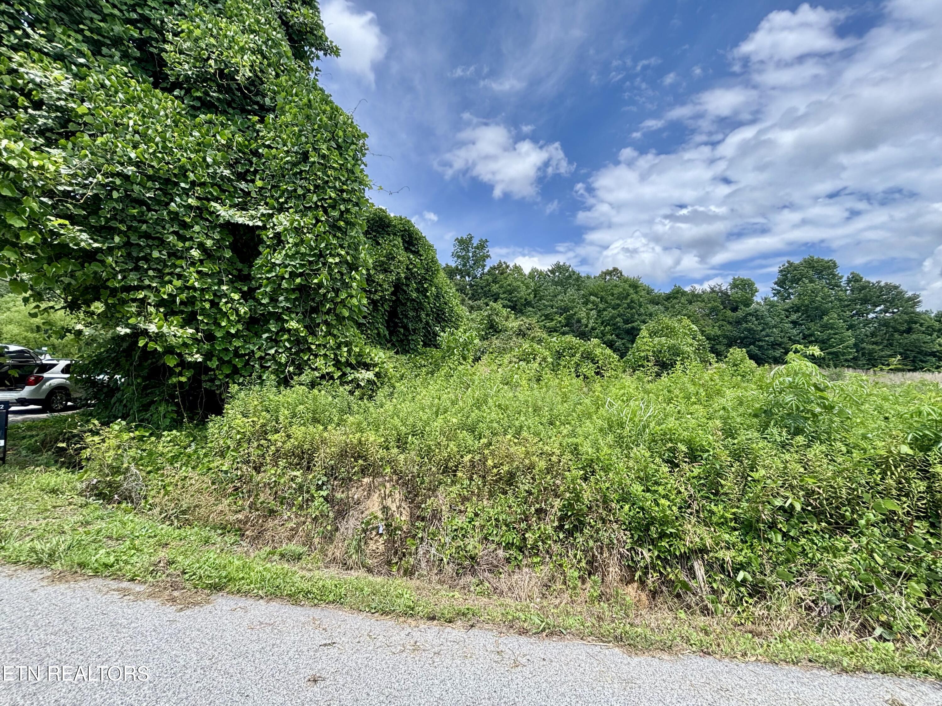0 Davis Hollow Road Harriman TN 37748