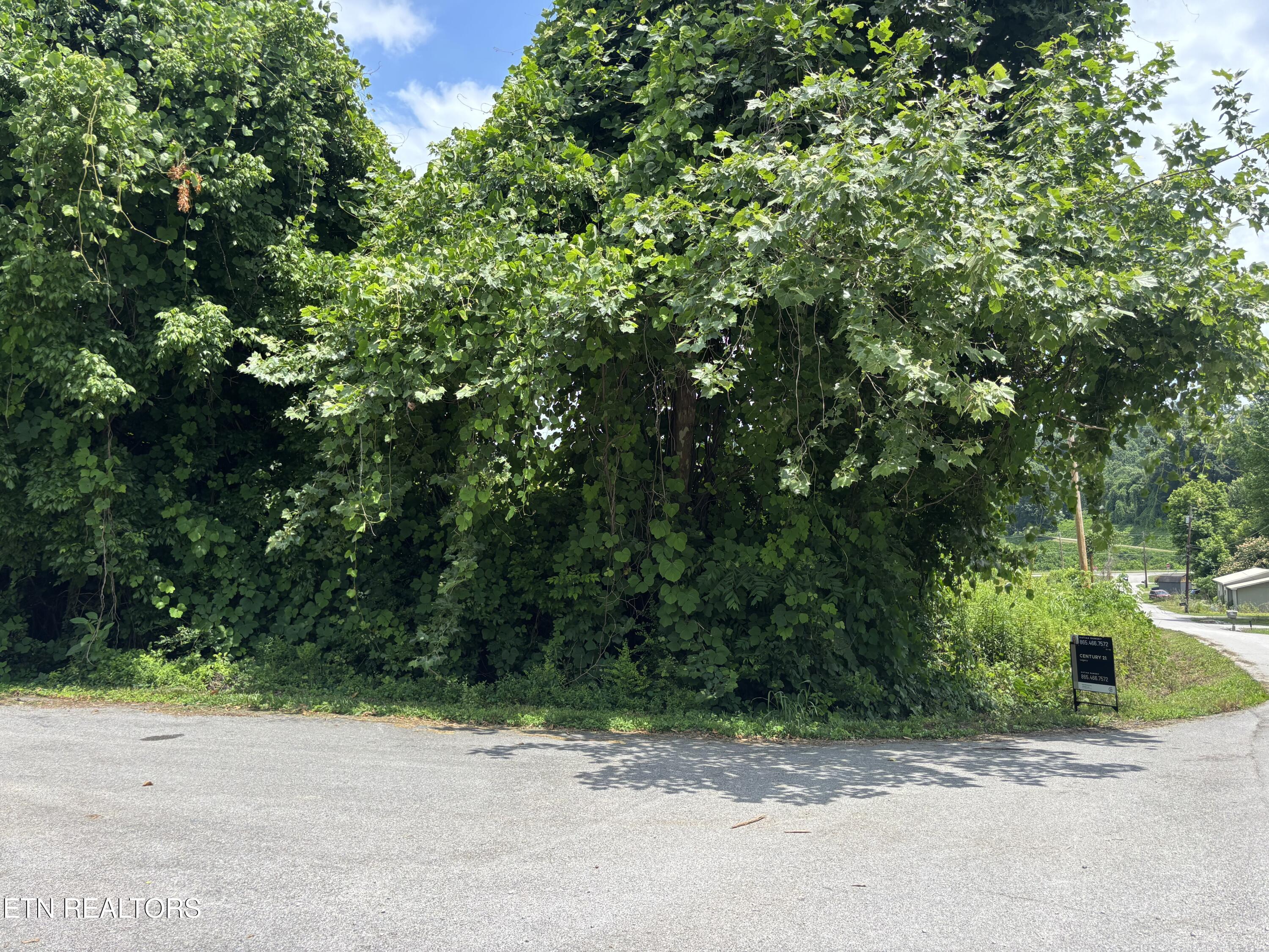 0 Davis Hollow Road Harriman TN 37748