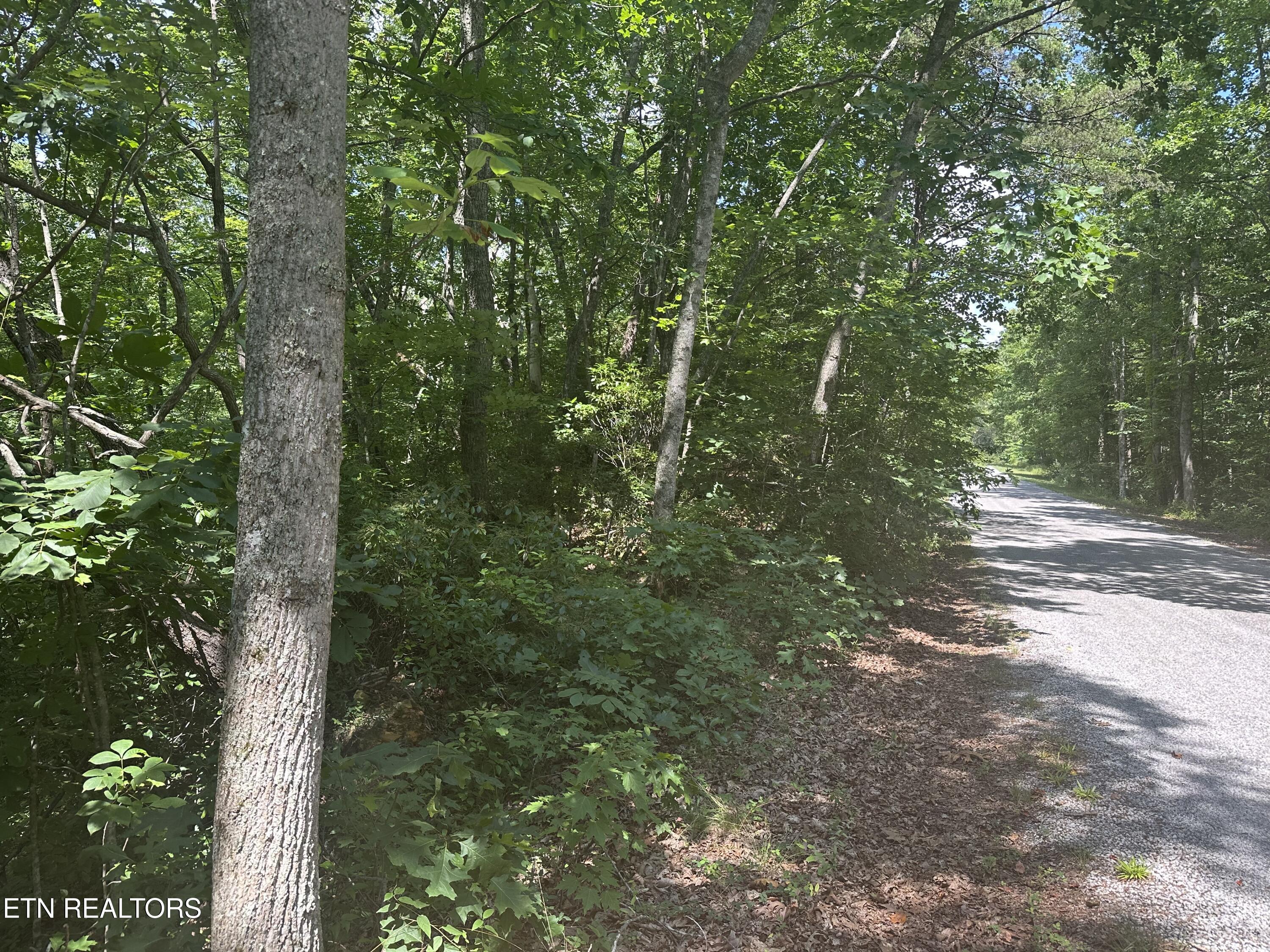 609 Saint George Drive Crossville TN 38558
