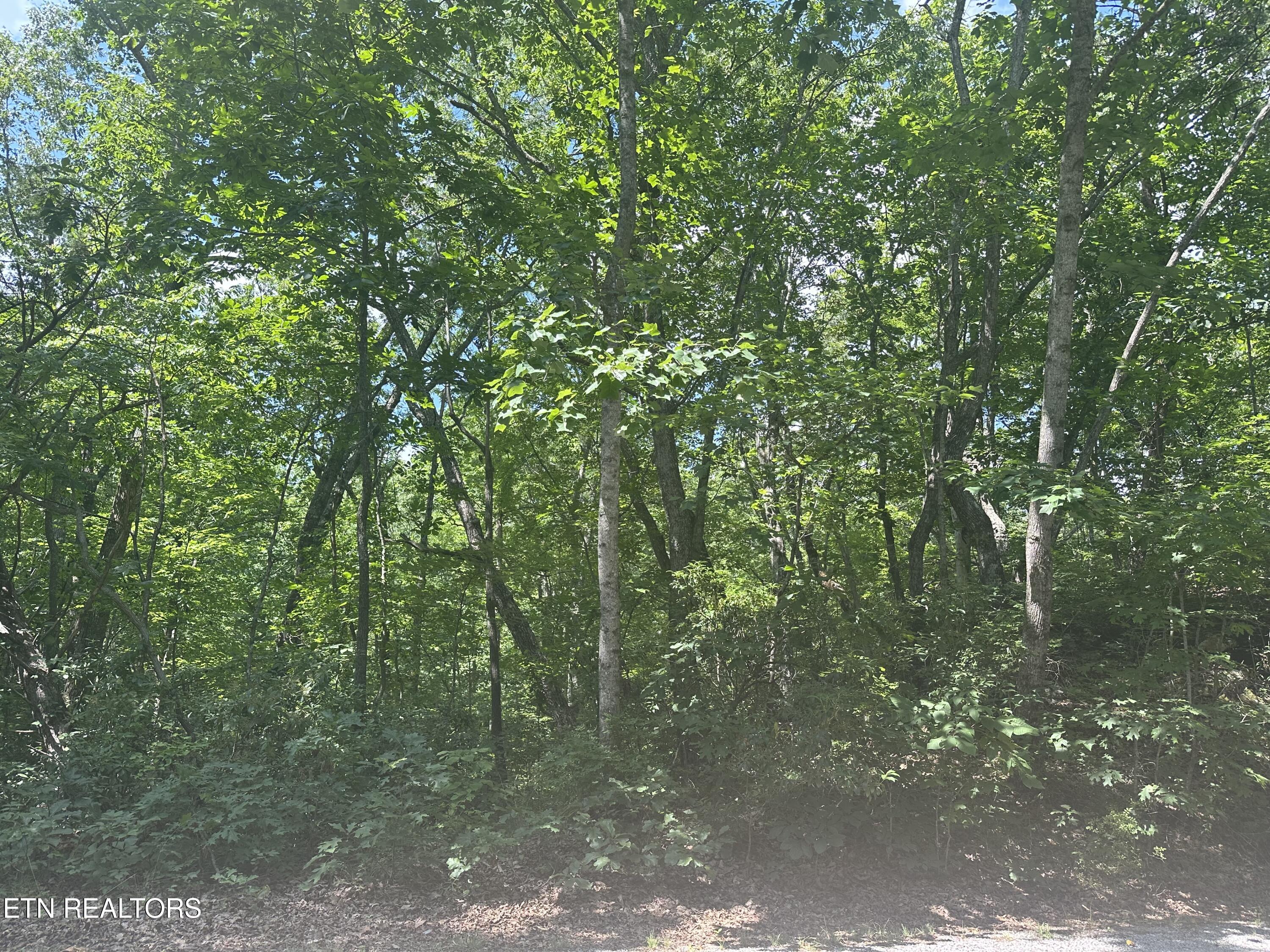 609 Saint George Drive Crossville TN 38558