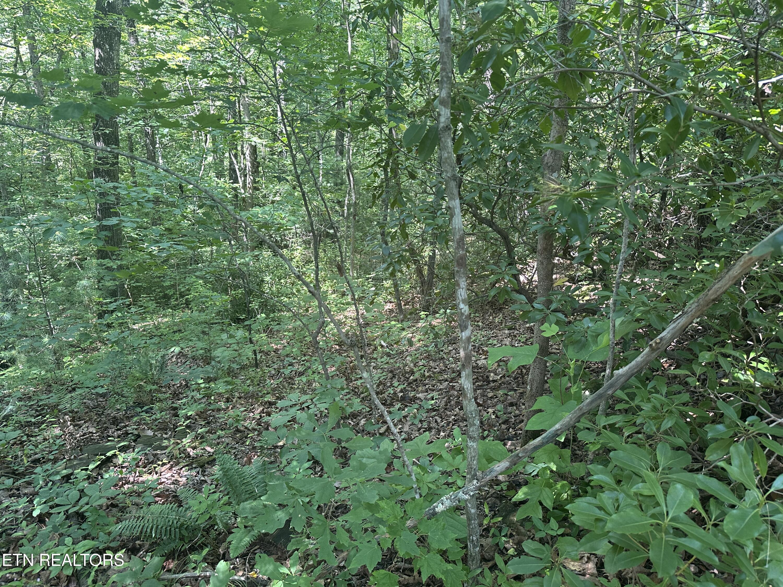 609 Saint George Drive Crossville TN 38558