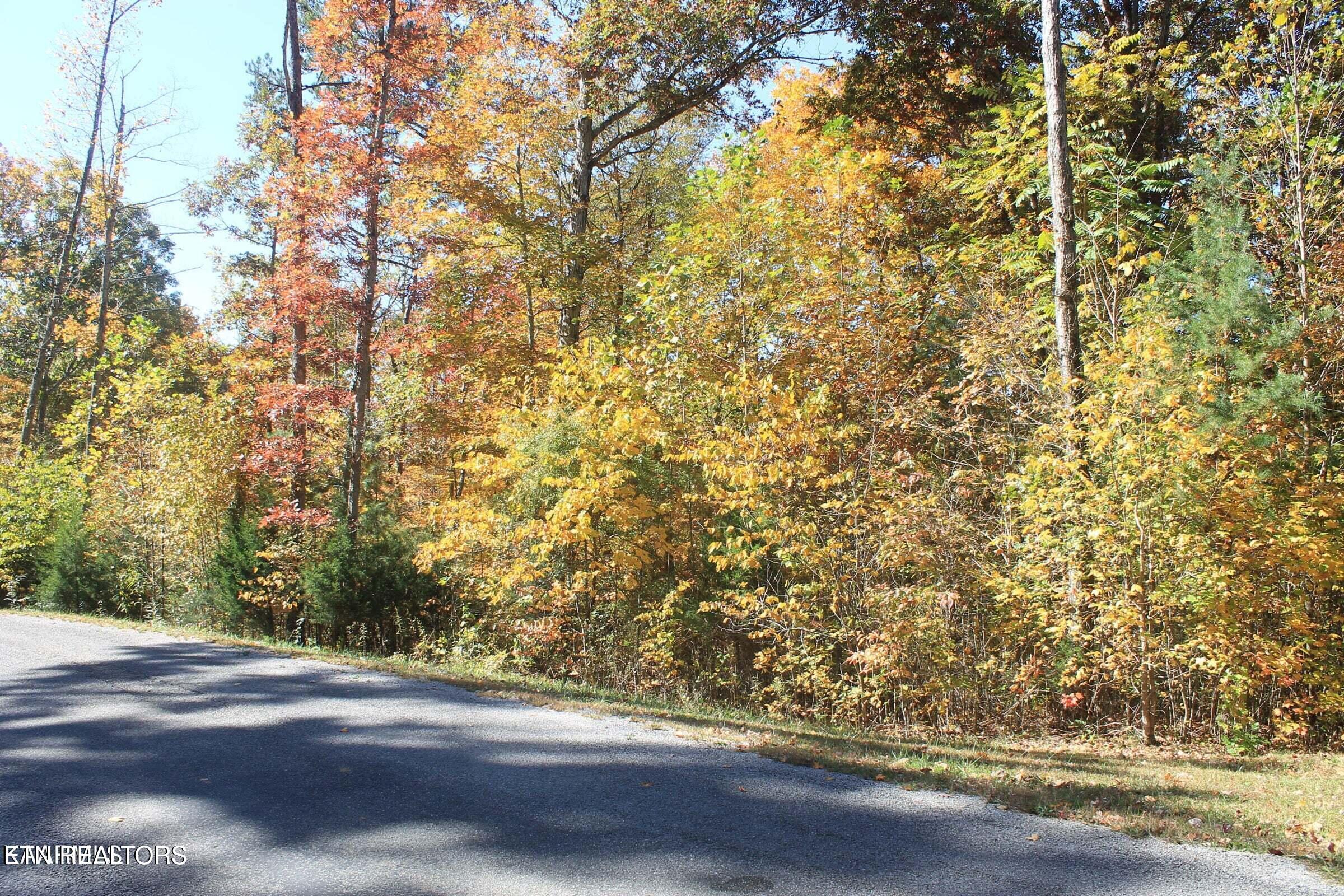 Cheyenne Drive Jamestown TN 38556