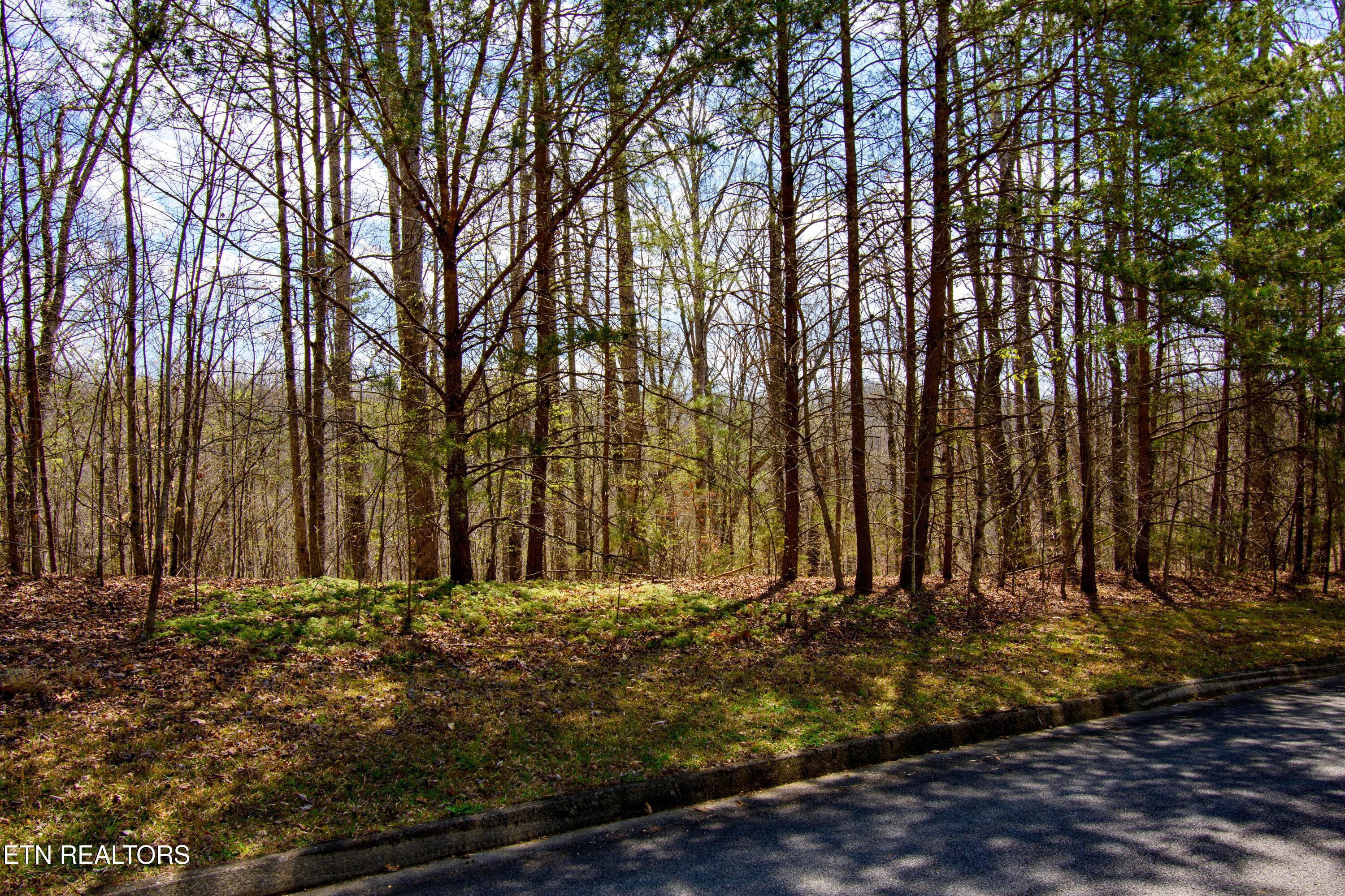 Turtle Dove Trail Dandridge TN 37725