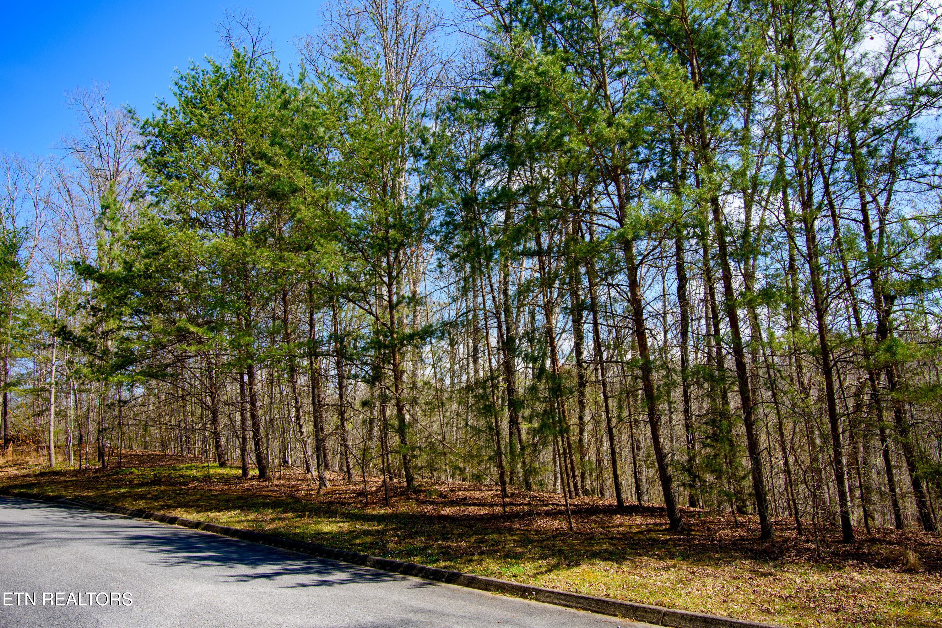 Turtle Dove Trail Dandridge TN 37725