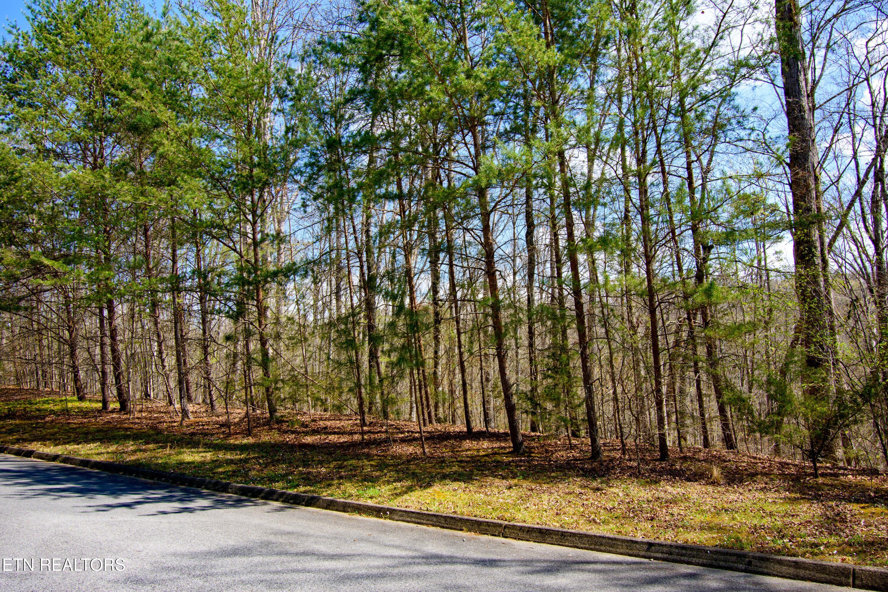 Turtle Dove Trail Dandridge TN 37725